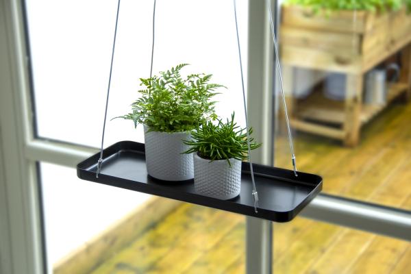 Fallen Fruits PLANT TRAY HANGING RECT S (ASS)