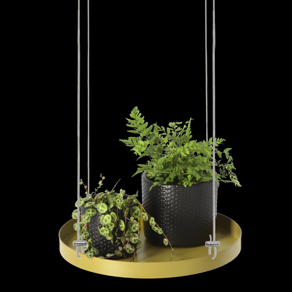 fallen fruits PLANT TRAY HANGING ROUND GOLD L