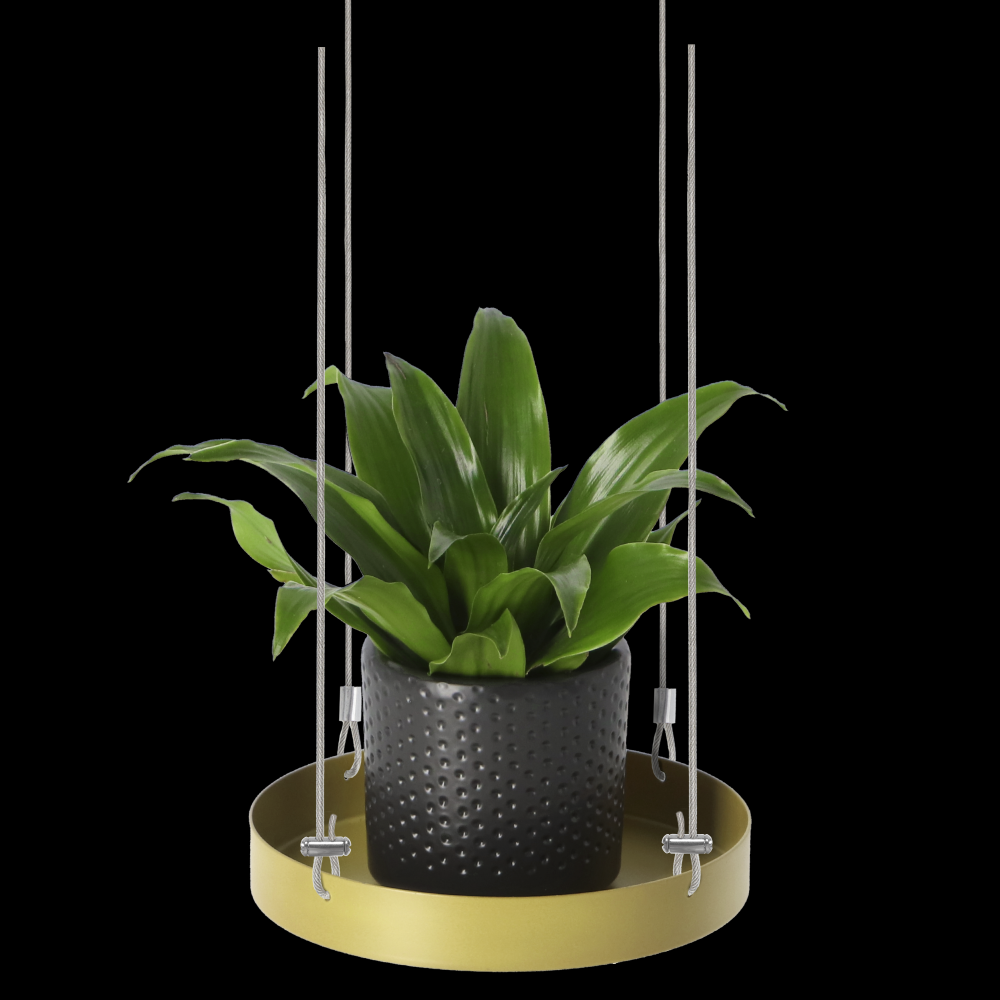 fallen fruits PLANT TRAY HANGING ROUND GOLD S