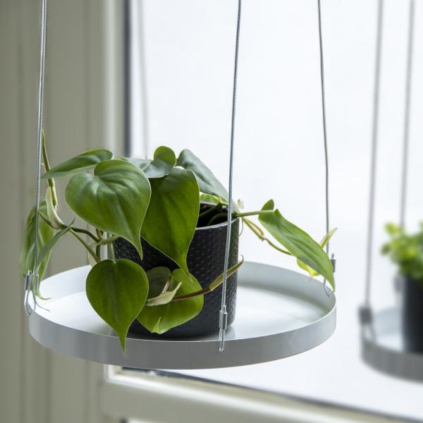 Fallen Fruits PLANT TRAY HANGING ROUND L (ASS)
