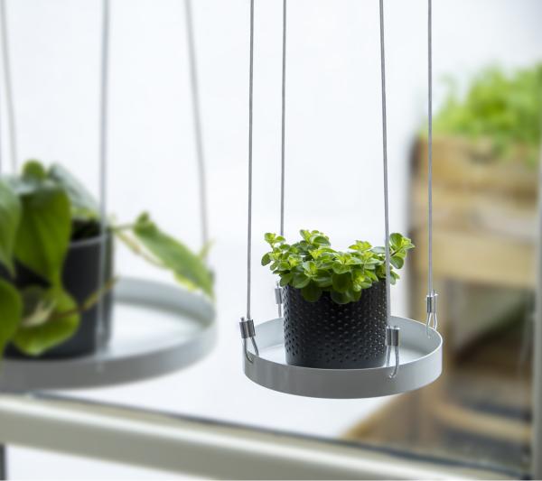 Fallen Fruits PLANT TRAY HANGING ROUND S (ASS)