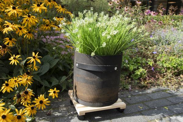 Fallen Fruits PLANT TROLLEY SQUARE NATURAL (L)