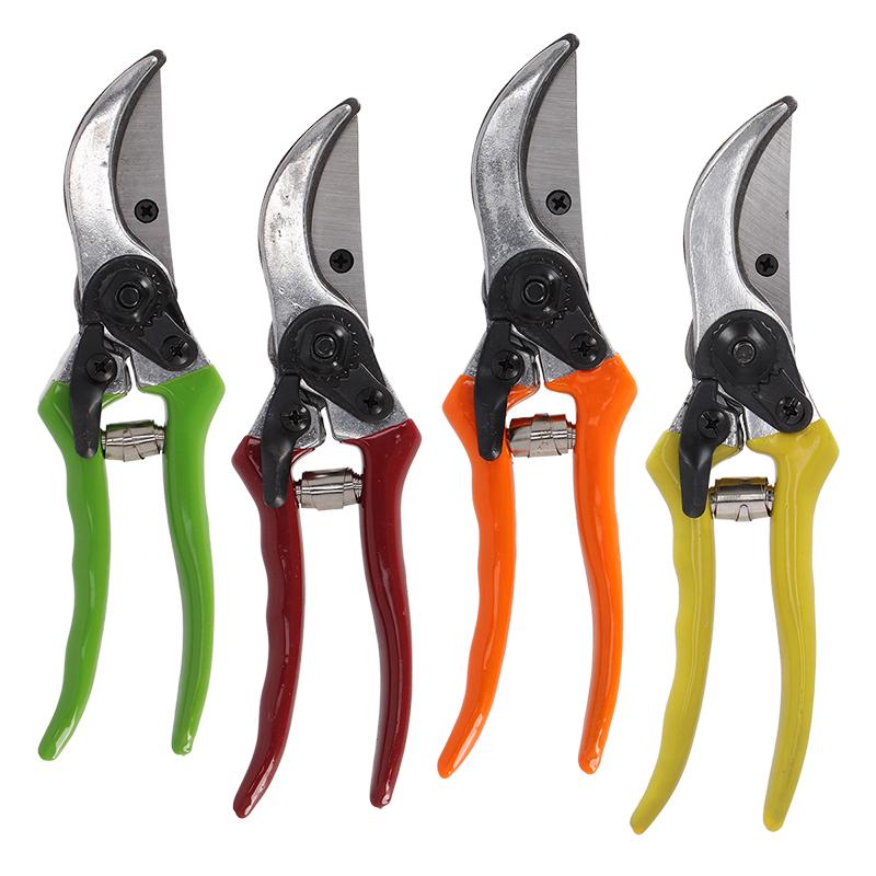 fallen fruits PRUNER (ASS)