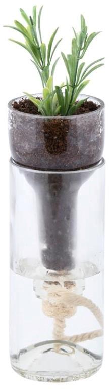 fallen fruits SELF WATERING POT