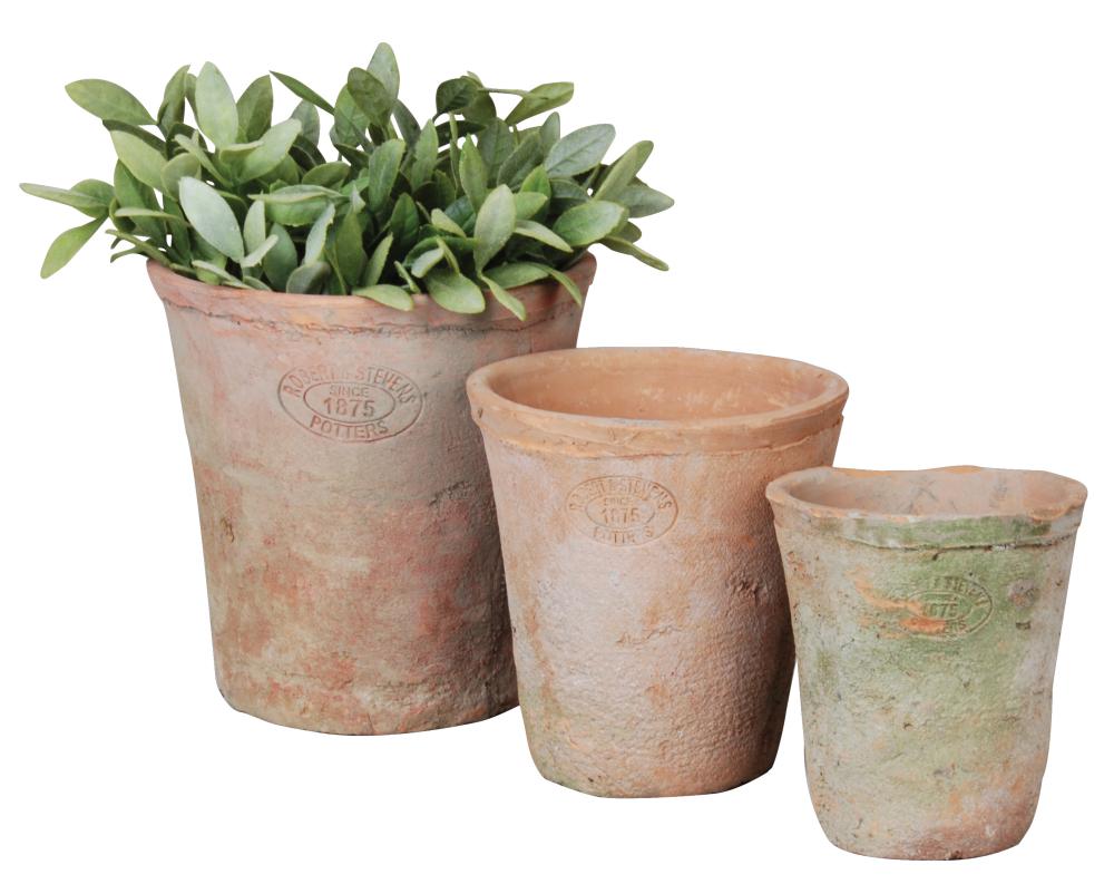 fallen fruits SET 3 ROUND AGED TERRACOTTA POTS