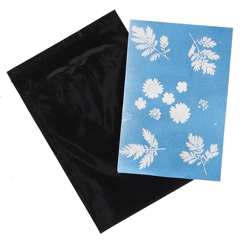 fallen fruits SOLAR PAPER A4 (SET OF 6)