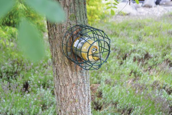 Fallen Fruits SQUIRREL PROOF PEANUT BUTTER FEEDER