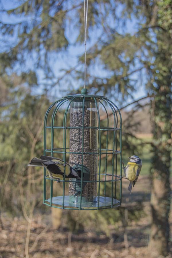 Fallen Fruits SQUIRREL PROOF SEED FEEDER