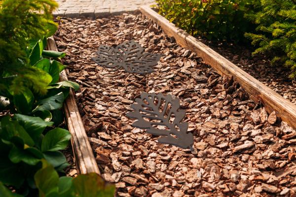 Fallen Fruits STEPPING STONE LEAF ASS