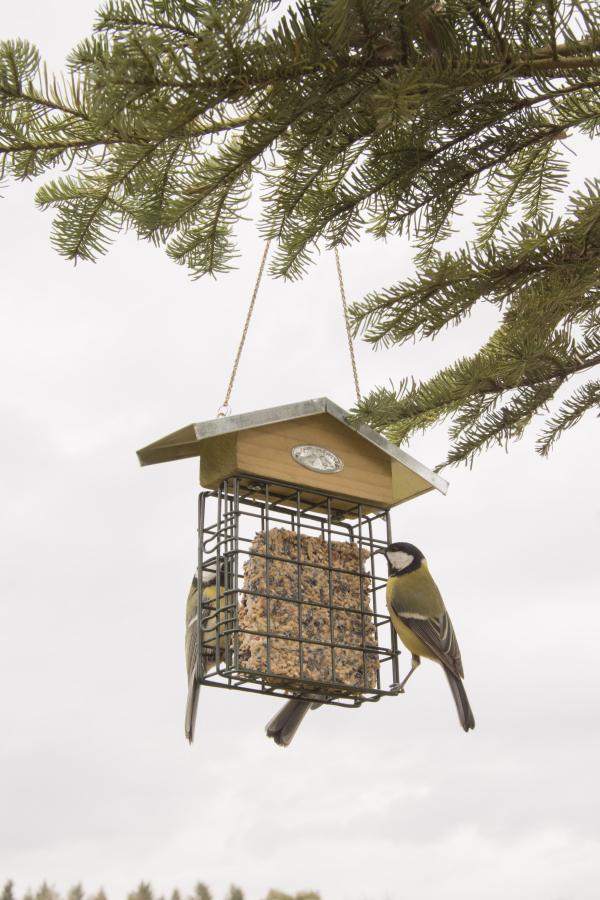 Fallen Fruits SUET BLOCK FEEDER