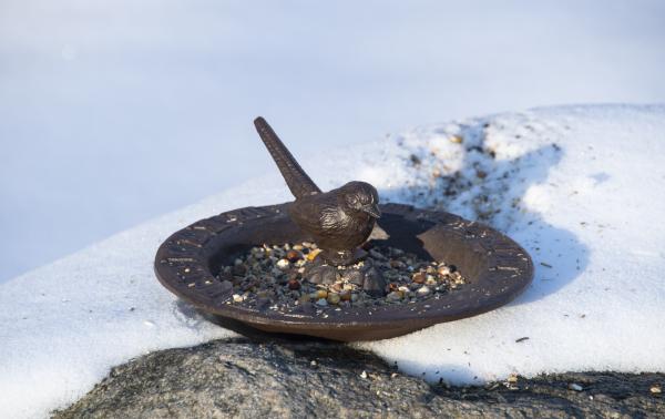 Fallen Fruits SUNDIAL WITH BIRD BATH