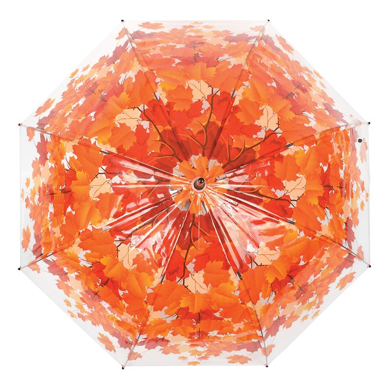 fallen fruits TRANSPARENT AUTUMN UMBRELLA