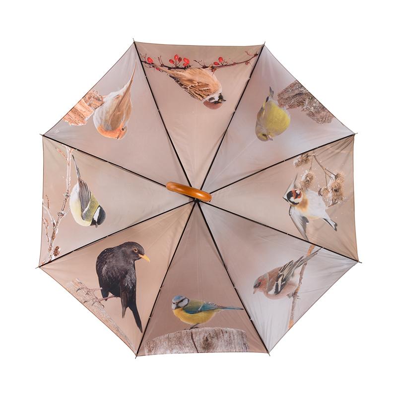 fallen fruits UMBRELLA AUTUMN BIRDS