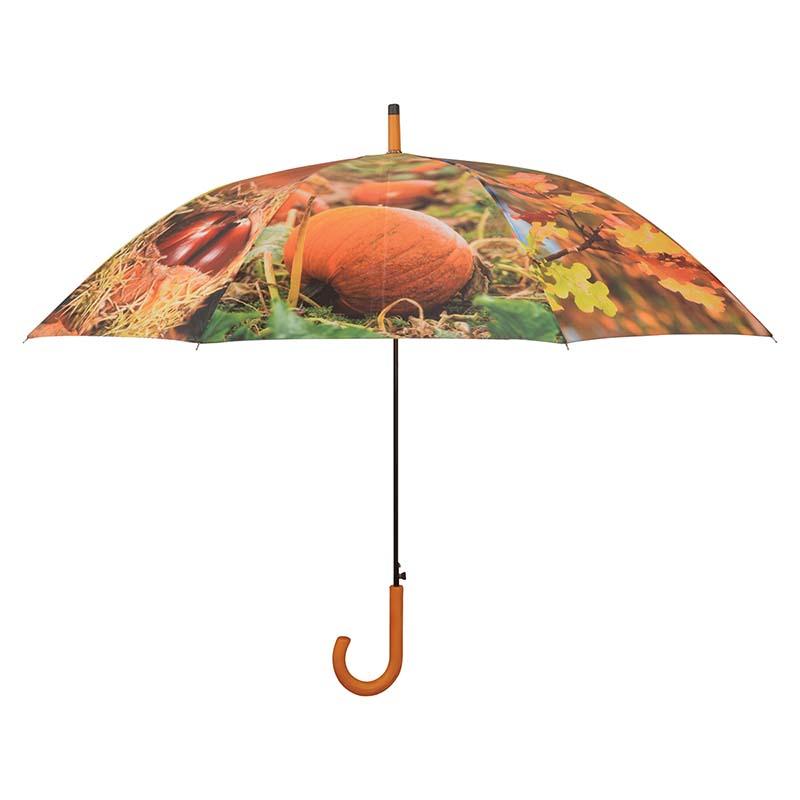 fallen fruits UMBRELLA AUTUMN