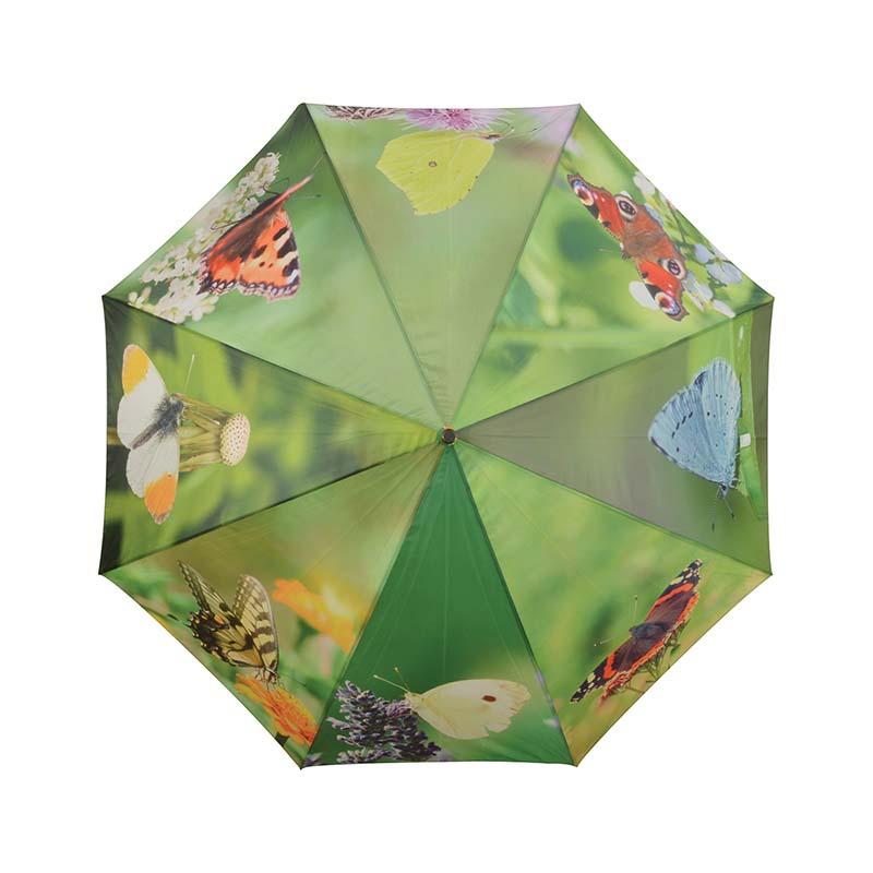 fallen fruits UMBRELLA BUTTERFLIES