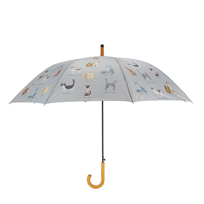 fallen fruits UMBRELLA CATS