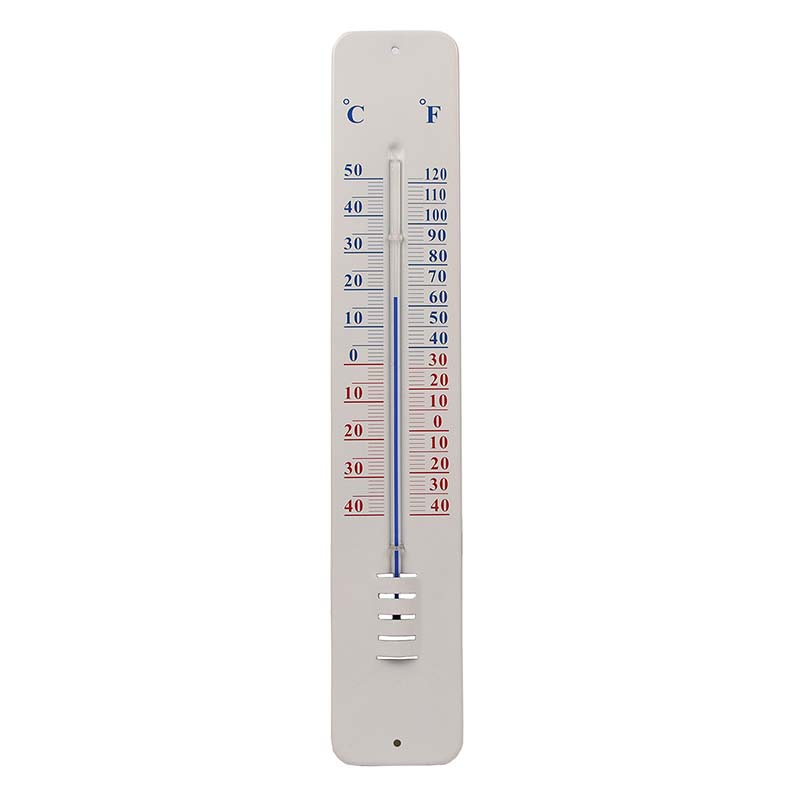fallen fruits WALL THERMOMETER (SMALL)