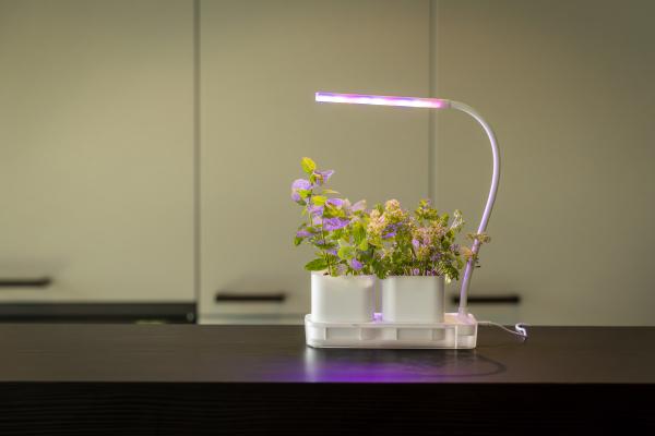 Fallen Fruits WHITE GROW LAMP WITH TWO POTS