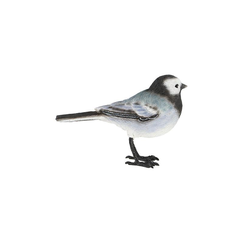 fallen fruits WHITE WAGTAIL