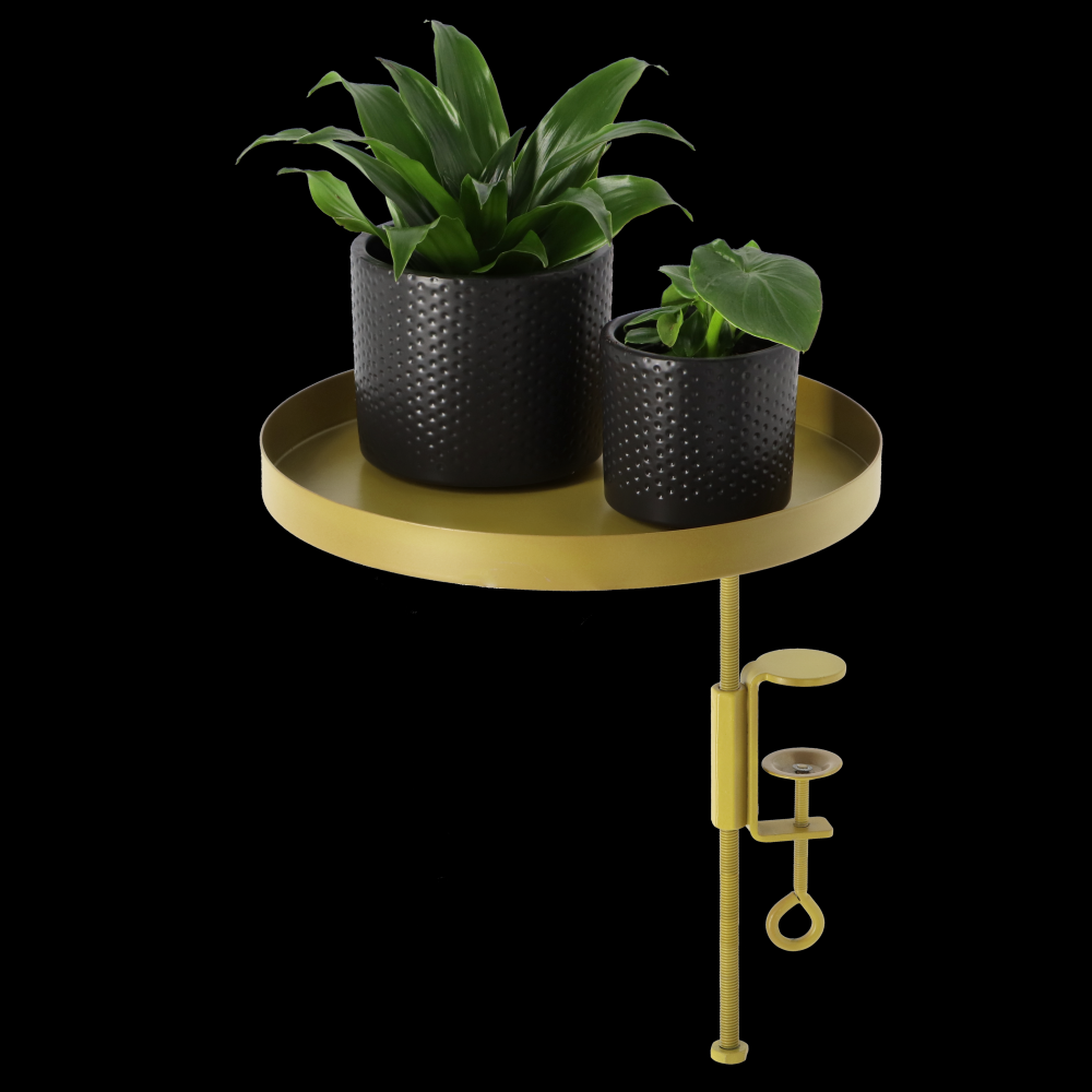 fallen fruits WINDOWSILL CLAMP GOLD L