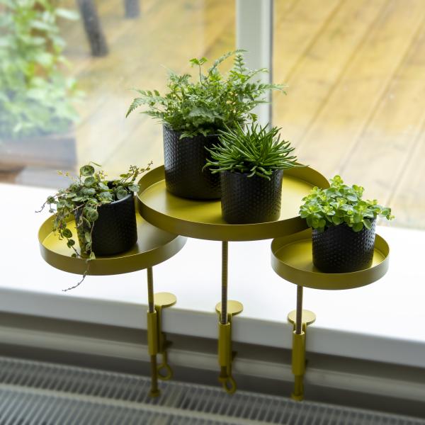 Fallen Fruits WINDOWSILL CLAMP GOLD S