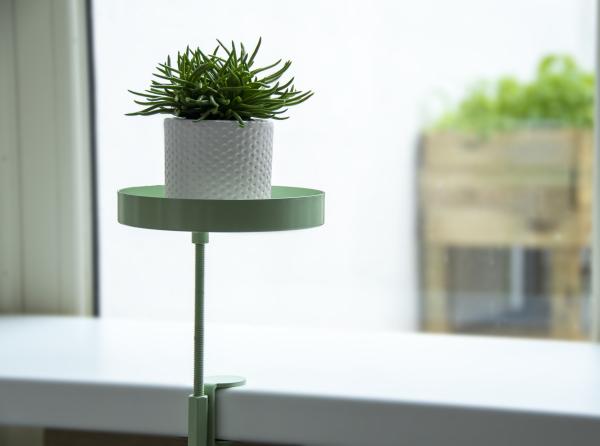 Fallen Fruits WINDOWSILL CLAMP GREEN S