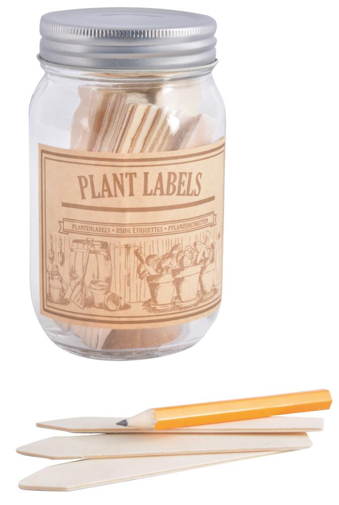fallen fruits WOODEN PLANT LABELS IN JAR