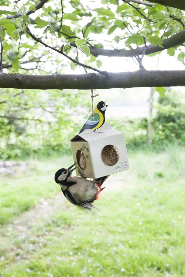 Fallen Fruits GIANT SUETBALL 500GM IN FEEDER (ASSORTED)