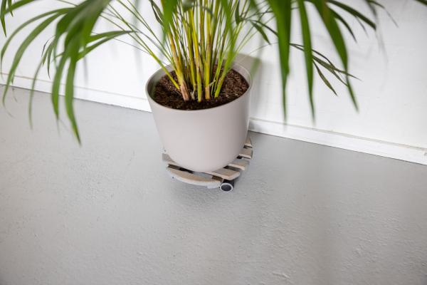 Fallen Fruits INDOOR PLANT TROLLEY WOOD ROUND FSC 100%