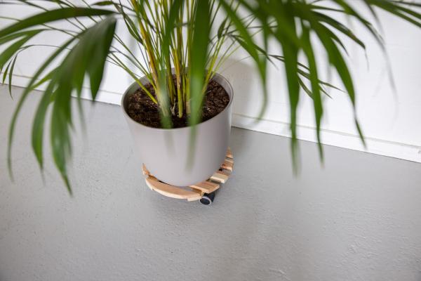 Fallen Fruits INDOOR PLANT TROLLEY WOOD ROUND FSC 100%