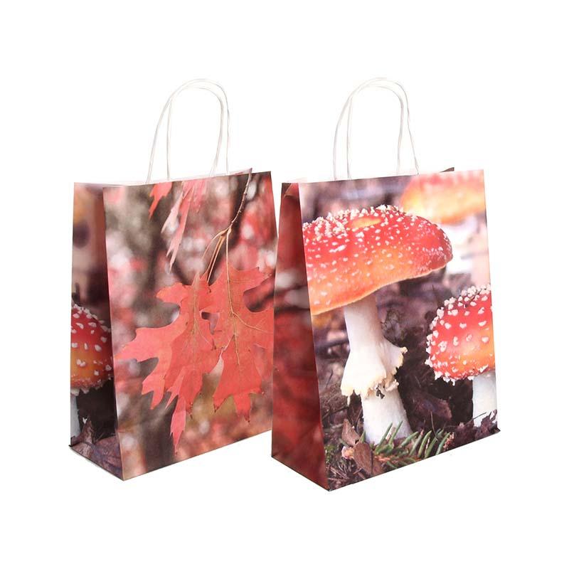 fallen fruits PAPER BAG TOADSTOOL & LEAVES (SMALL) FSC MIX CREDIT