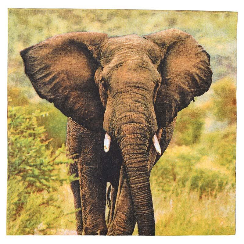 fallen fruits PAPER NAPKINS (ELEPHANT) FSC MIX CREDIT