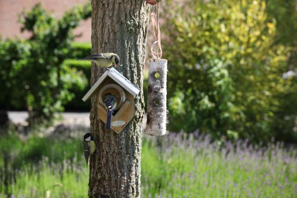 Fallen Fruits PEANUT BUTTER FEEDER WITH ZINC ROOF FSC 100%