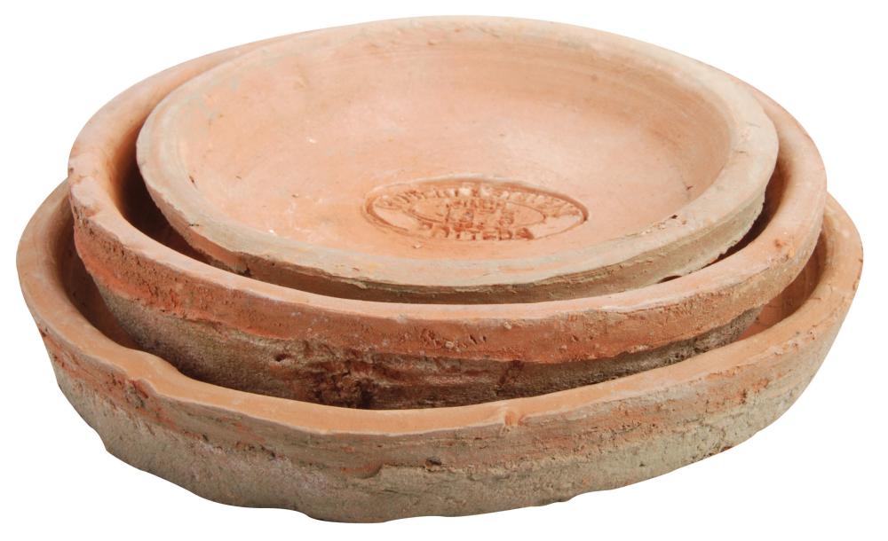 fallen fruits SET 3 SAUCERS FOR ROUND AGED TERRACOTTA POTS
