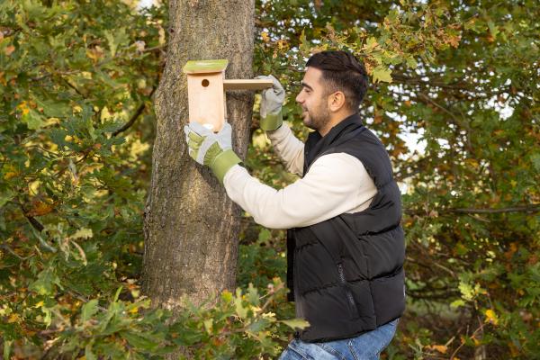 Fallen Fruits SILHOUETTE BLUE TIT BIRD HOUSE FSC 100%