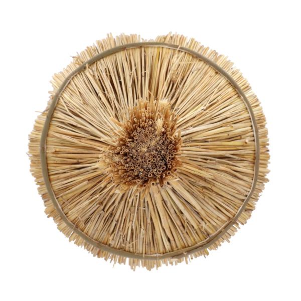 Fallen Fruits SILVER BIRCH ROUND BIRD TABLE ON POLE