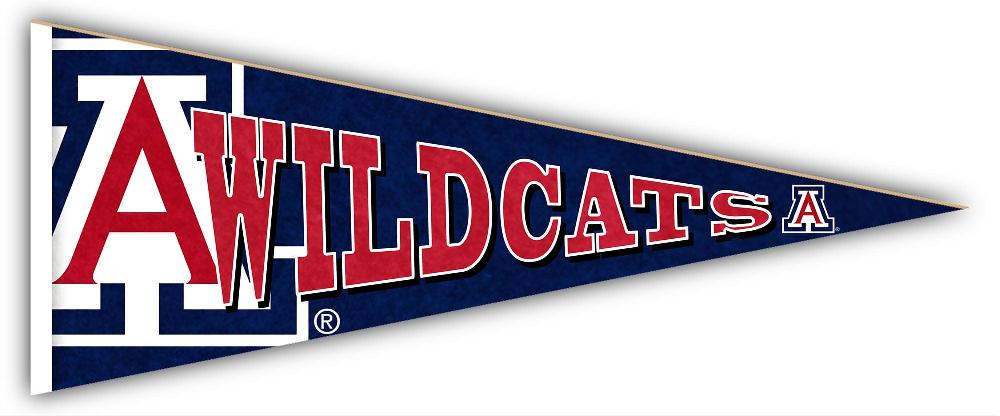 fan creations Arizona Pennant