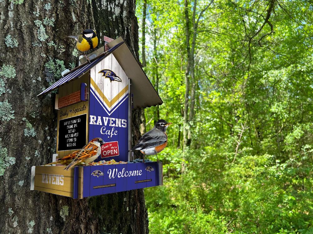 fan creations Baltimore Ravens Bird Feeder