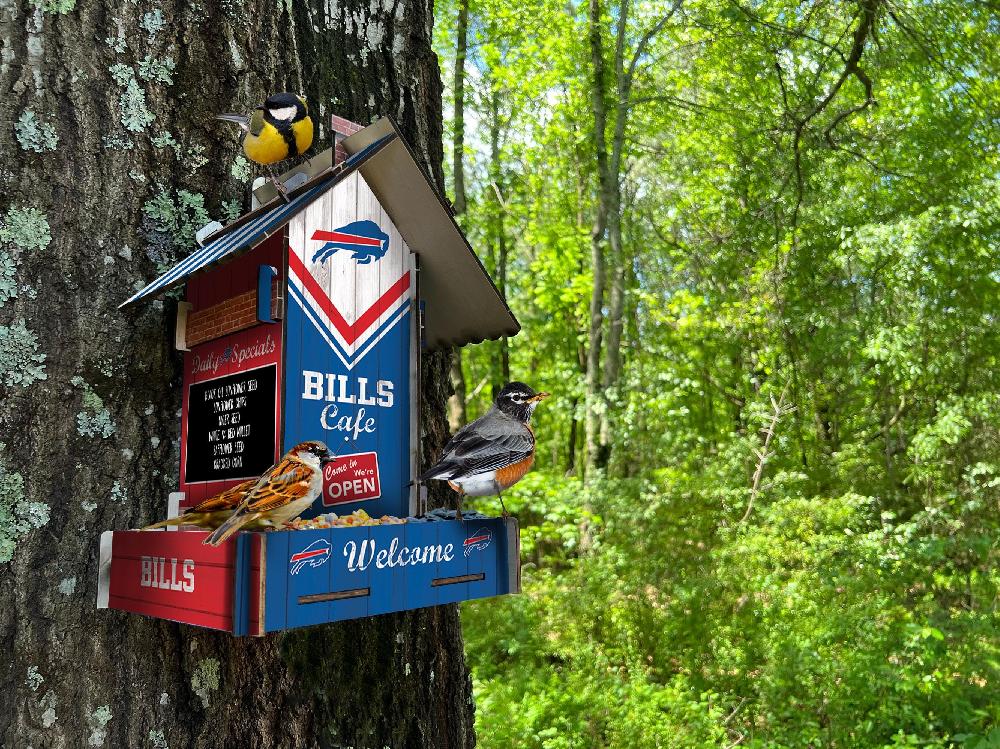 fan creations Buffalo Bills Bird Feeder