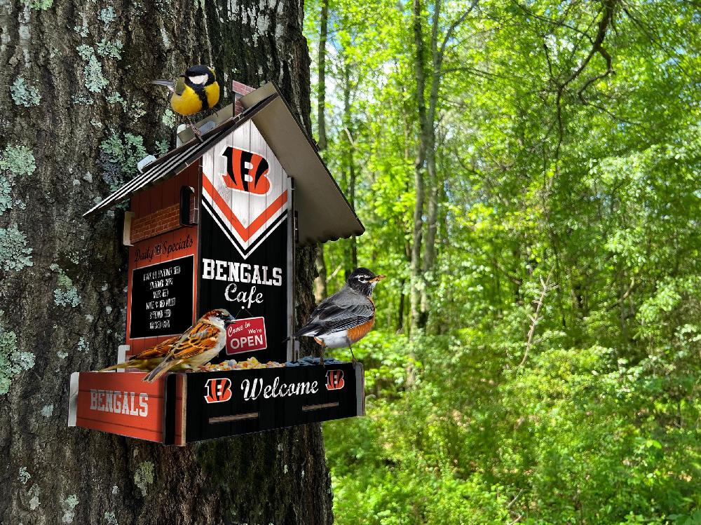 fan creations Cincinnati Bengals Bird Feeder