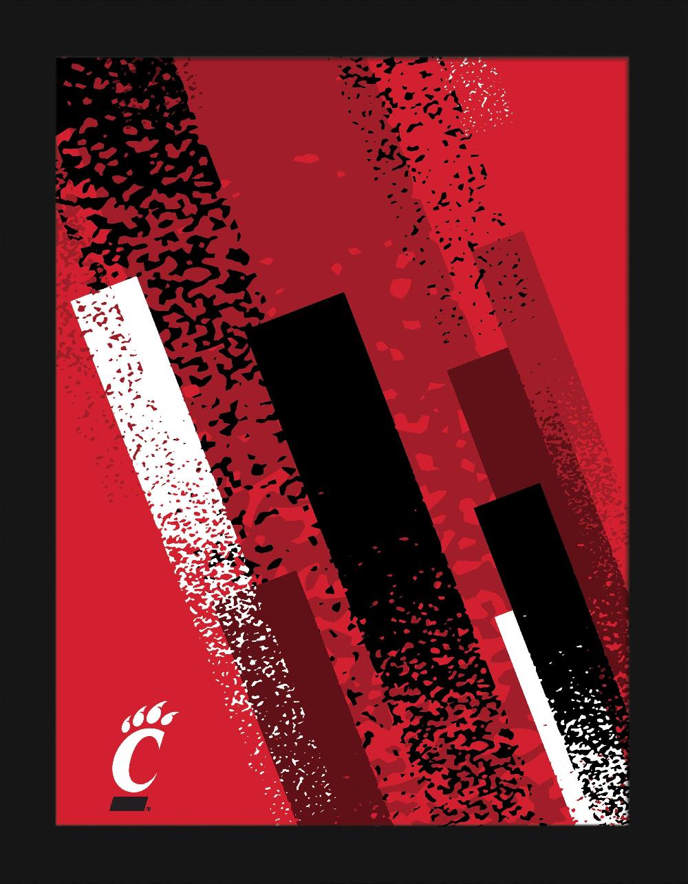 fan creations Cincinnati Team Color 12x16