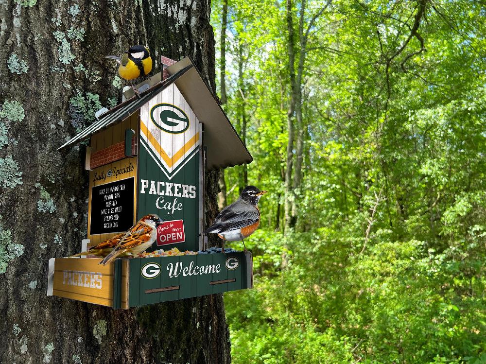 fan creations Green Bay Packers Bird Feeder