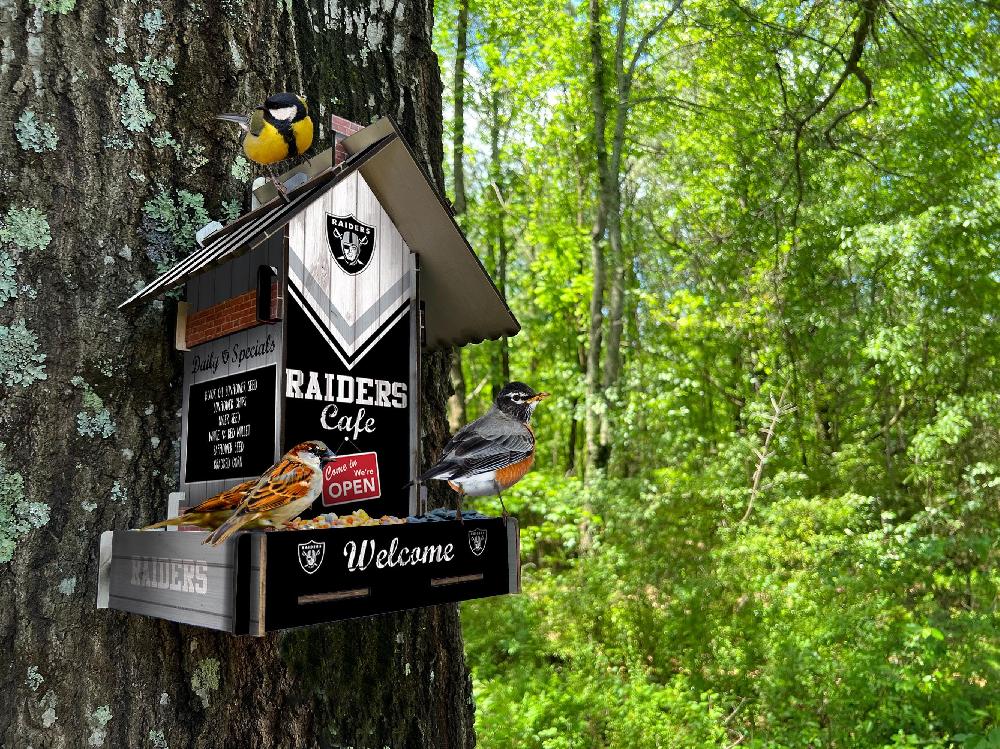 fan creations Las Vegas Raiders Bird Feeder