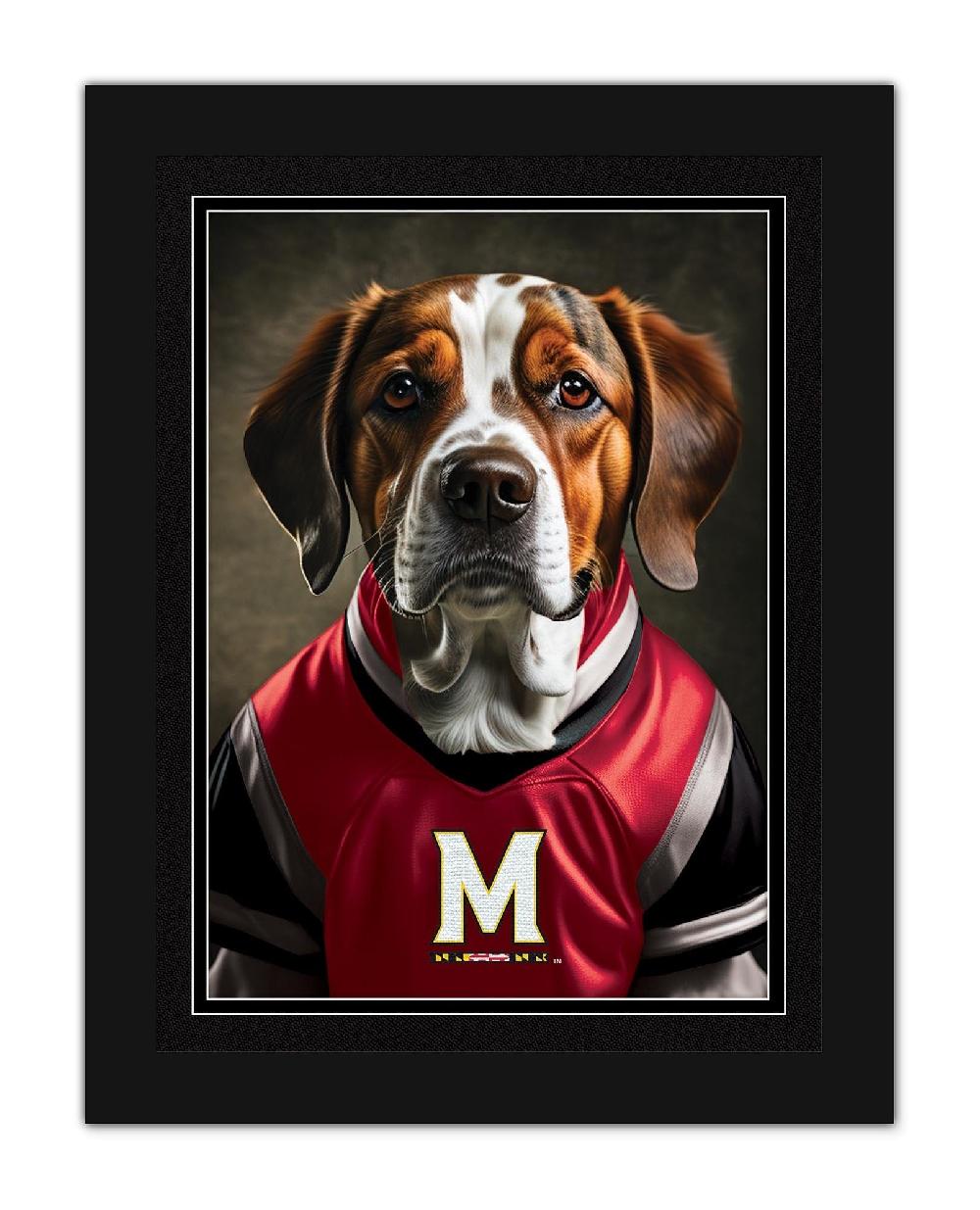 fan creations Maryland Dog in Team Jersey 12x16