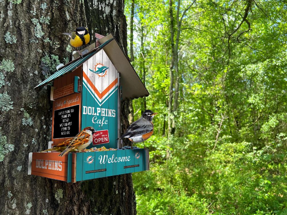 fan creations Miami Dolphins Bird Feeder