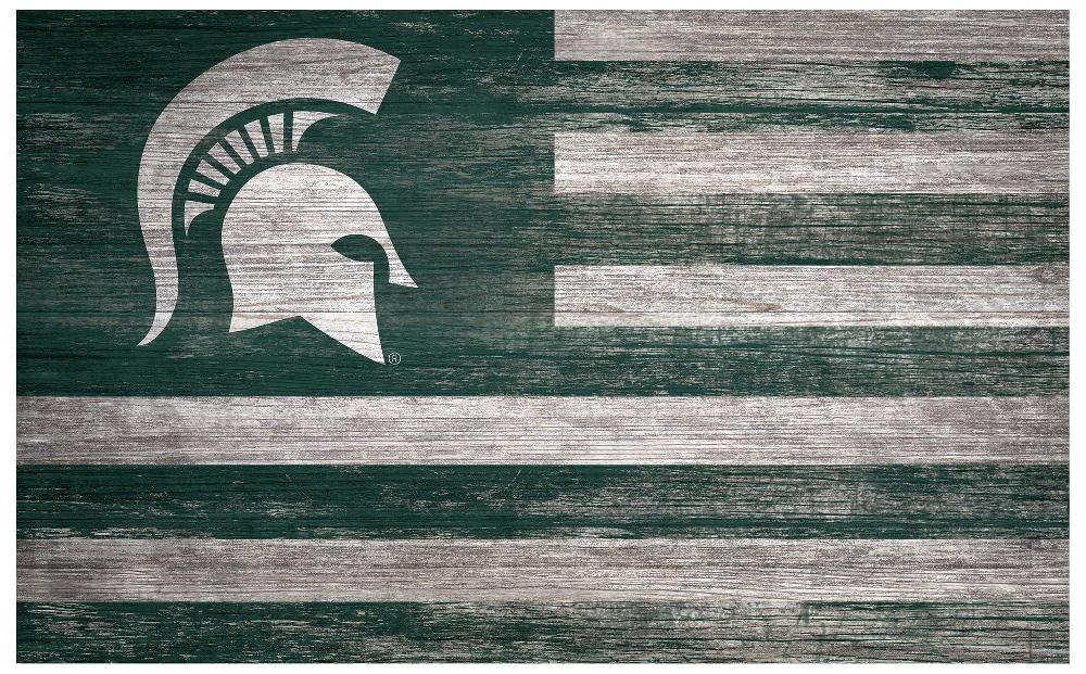 fan creations Michigan State Distressed Flag 11x19