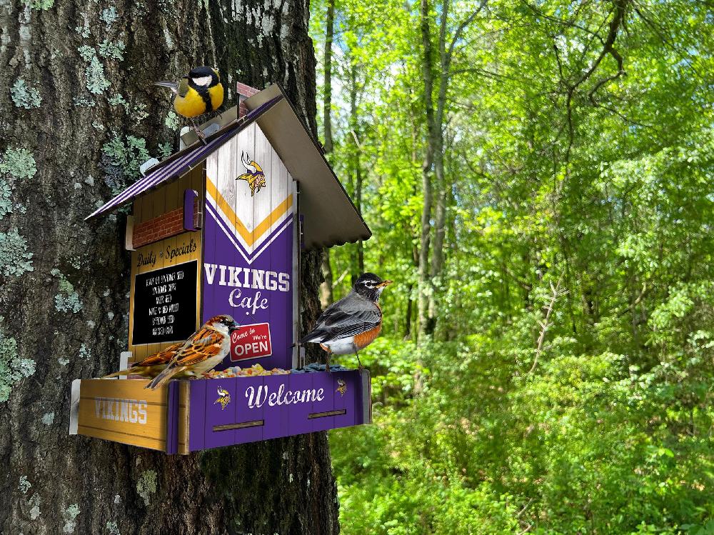 fan creations Minnesota Vikings Bird Feeder