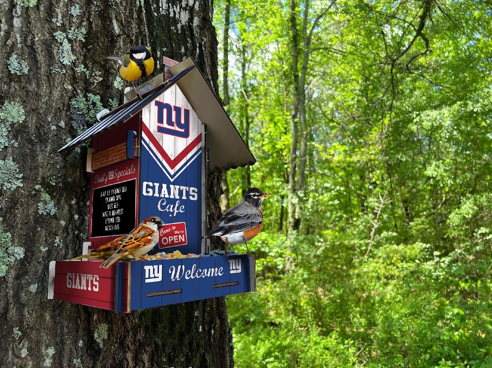 fan creations New York Giants Bird Feeder