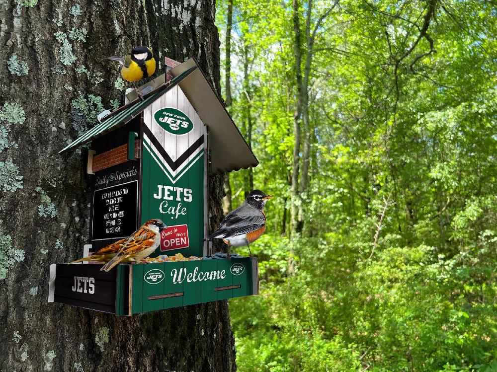 fan creations New York Jets Bird Feeder