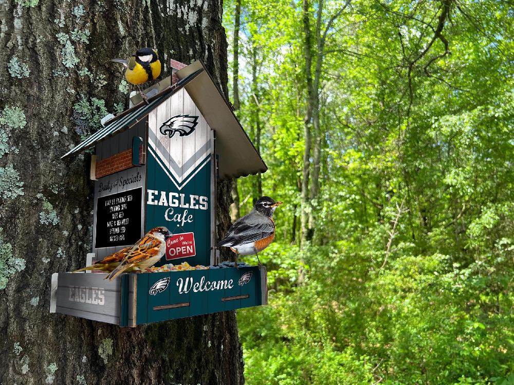 fan creations Philadelphia Eagles Bird Feeder